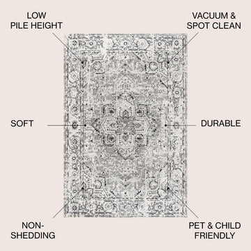Denia Ornate Geometric Medallion Area Rug